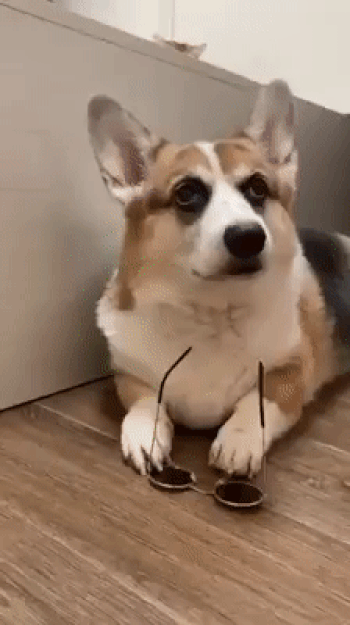 Гифки Гифки