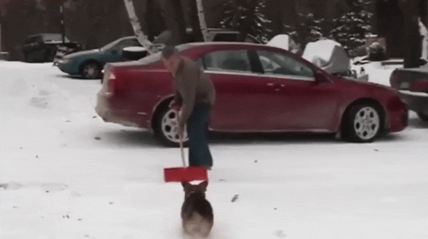 Гифки Гифки