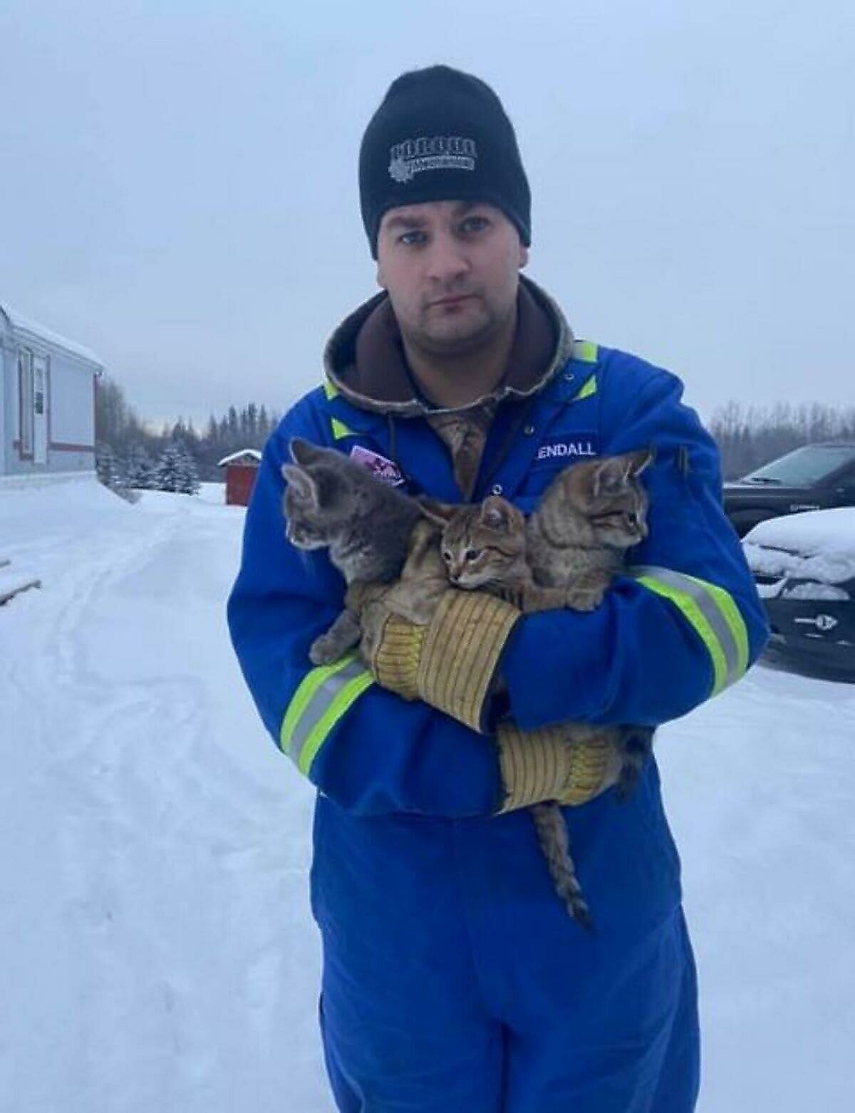 Мужчина спас примерзших к земле котят с помощью чашки кофе