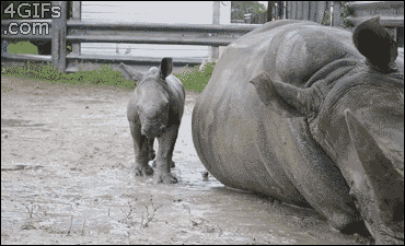 Гифки разные