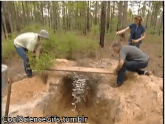 Гифки Гифки