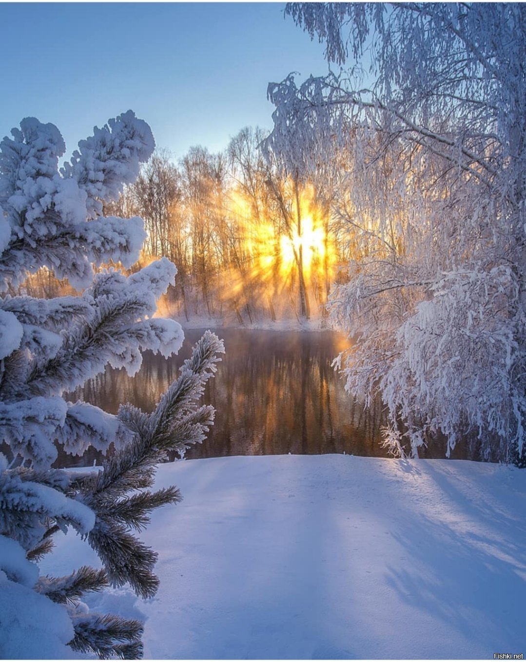 Доброе зимнее природа. Зима солнце. Зимнее утро. Зимний пейзаж. Солнечный зимний день.