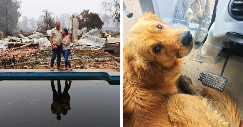 Счастливый пёс нашел любимую игрушку под руинами дома