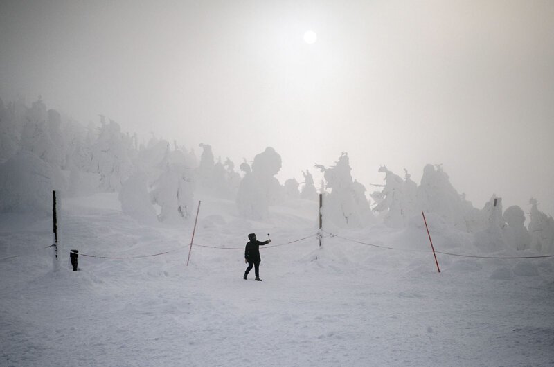 Cнежные монстры на горе Дзао в Японии