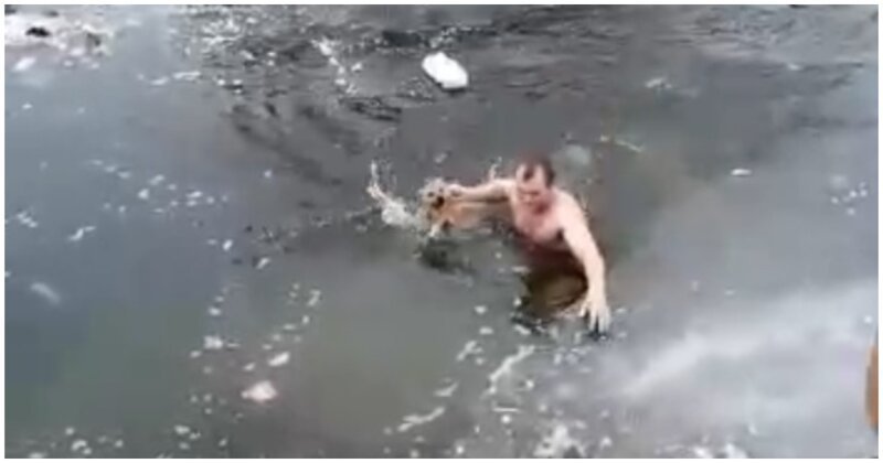 Астраханец залез в ледяную воду, чтобы спасти провалившуюся под лед бездомную собаку