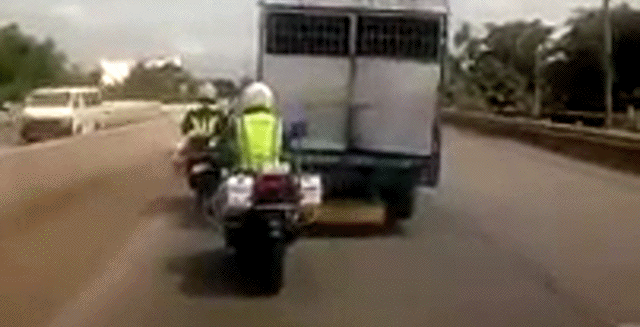 Гифки всякие