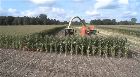 Гифки разные