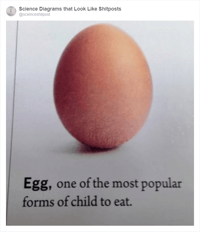 «Яйцо — одна из самых популярных форм, в которой едят детей»