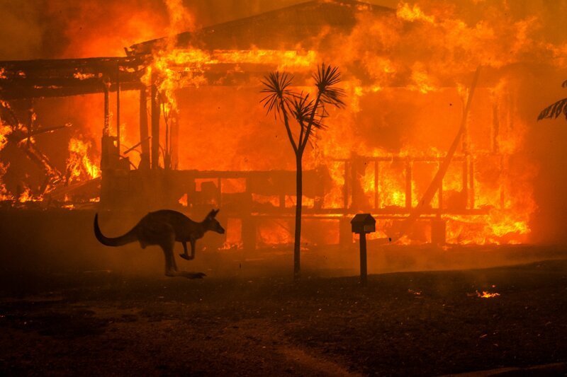Причины пожаров в Австралии, проблемы российских лесов и запрет дров в Прибалтике