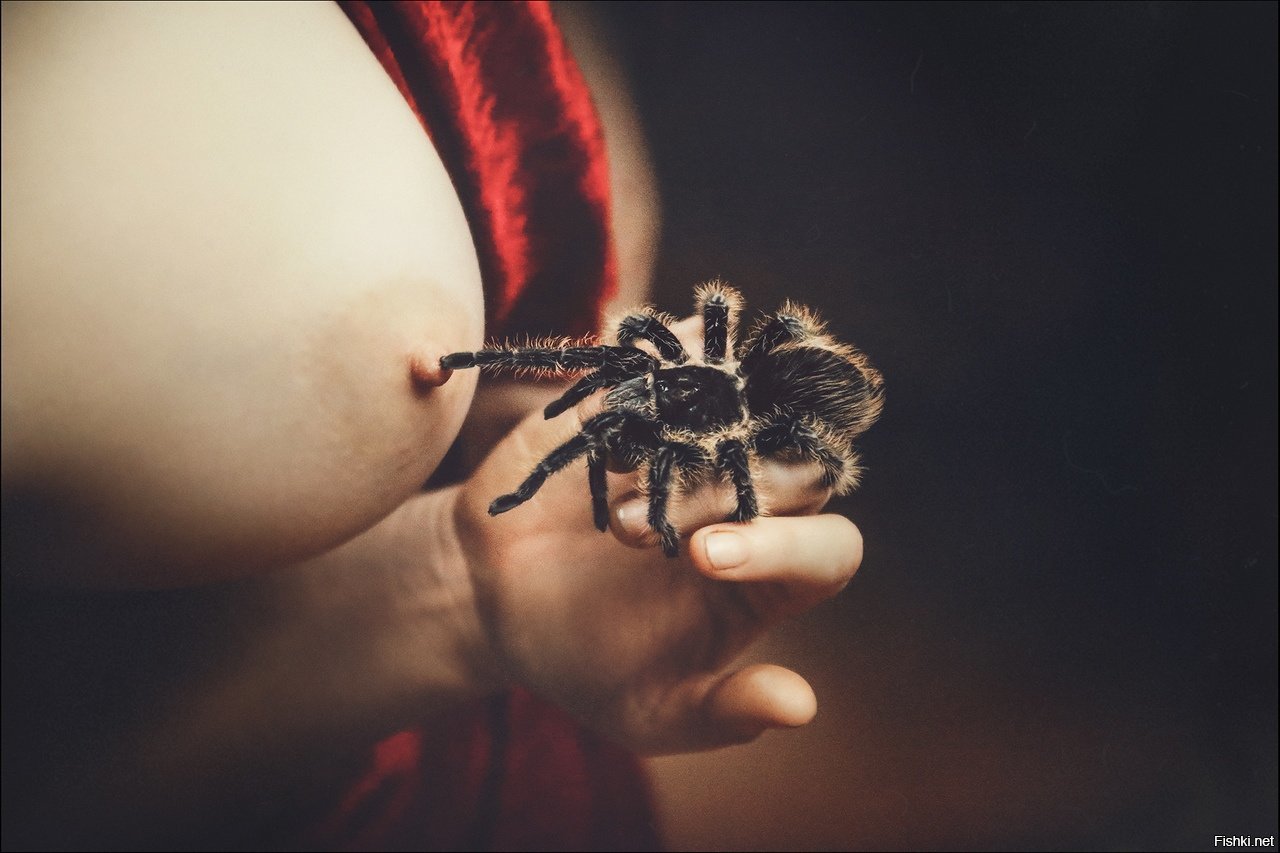 игра в паук с голыми женщинами фото 106