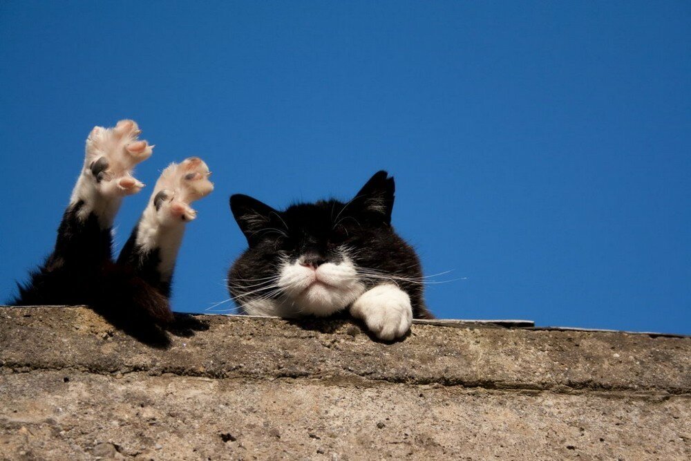 Фотоподборка от Димон за 02 февраля 2020