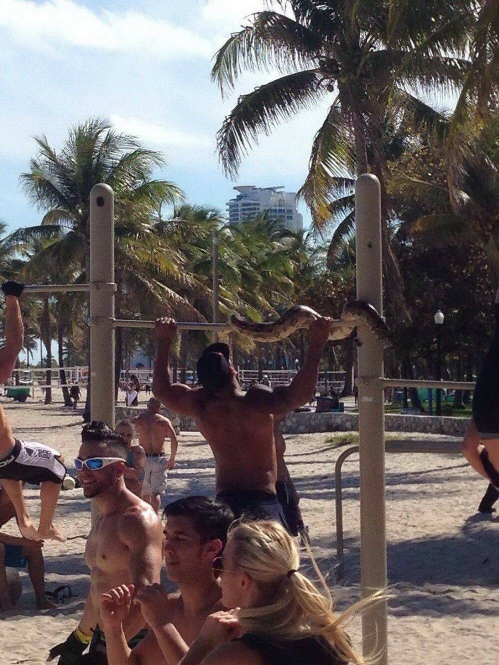 Фотоподборка от Димон за 02 февраля 2020