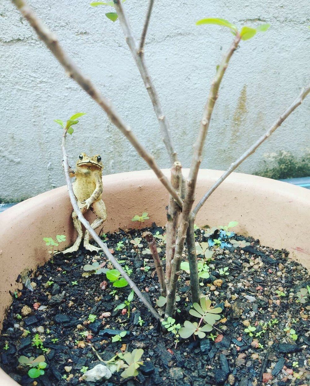 Фотоподборка от Димон за 02 февраля 2020