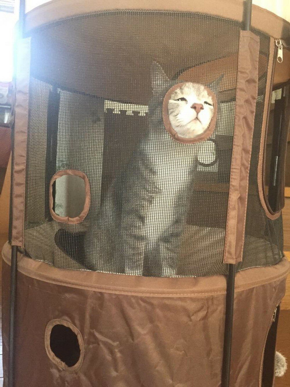 Фотоподборка от Димон за 02 февраля 2020