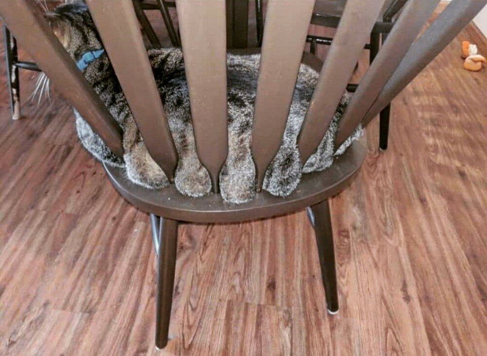 Фотоподборка от Димон за 02 февраля 2020