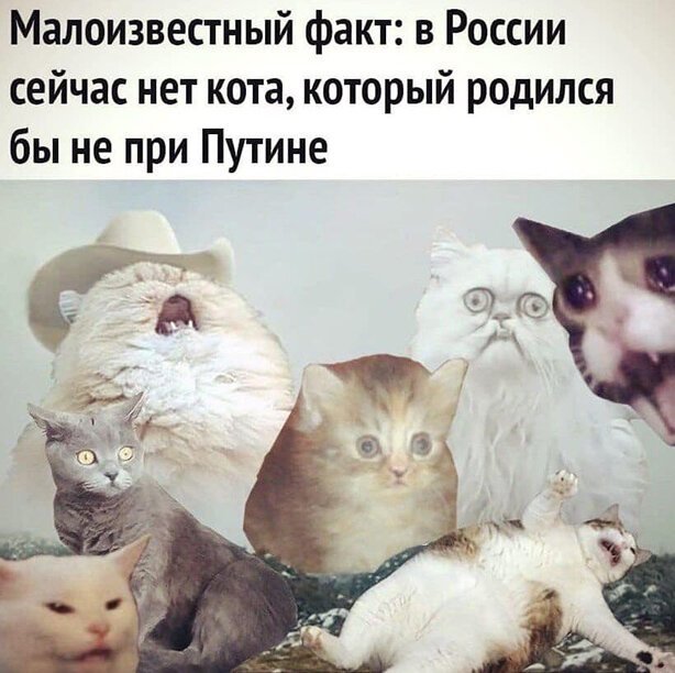 Прикольные и смешные картинки