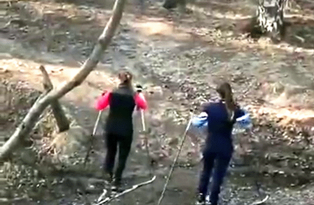 https://cdn.fishki.net/upload/post/2020/02/02/3218635/10438649579883-21.gif