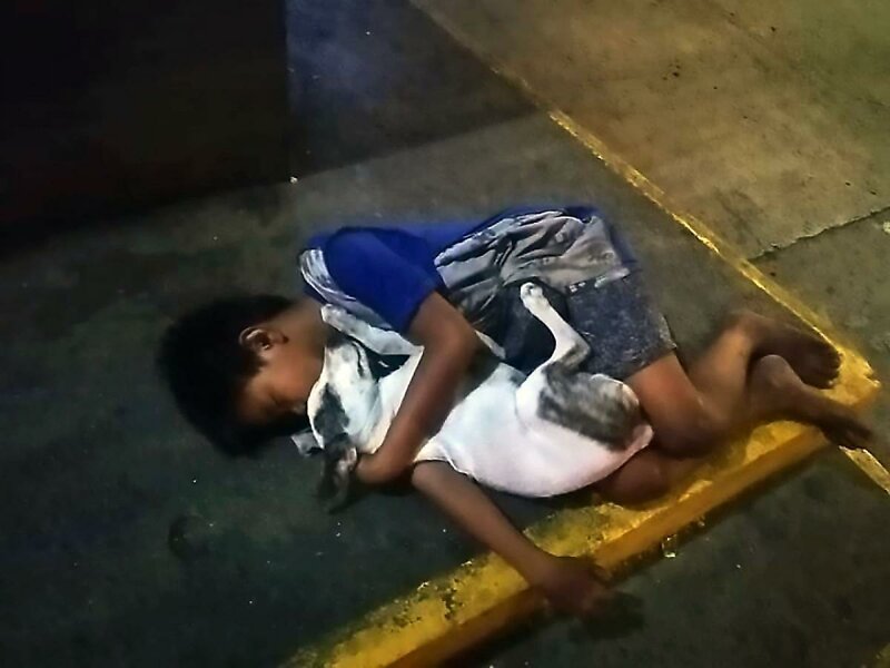 Фотография, которая движет миром: ребенок спит на улице, обнимая свою собаку