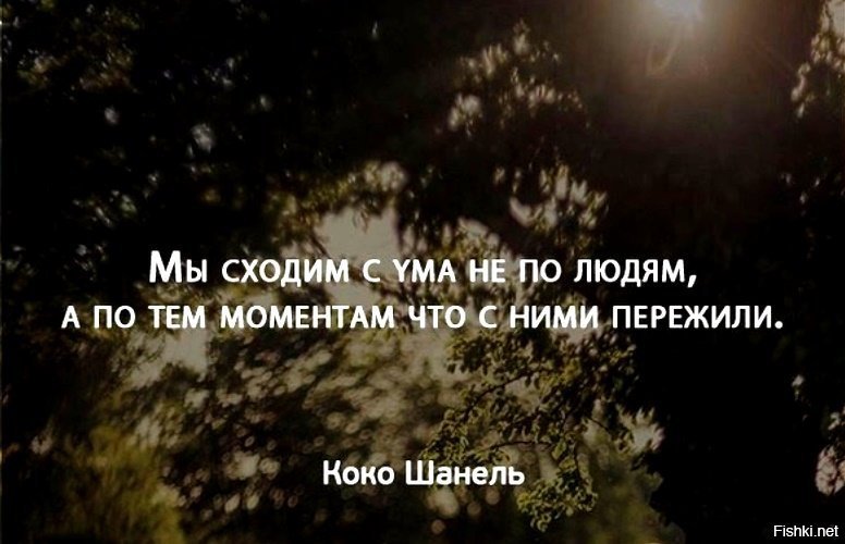 Сума мы сошли это гравитация песня. Мы сходим с ума не по людям а по тем моментам что с ними пережили. Мы сходим с ума не по людям.