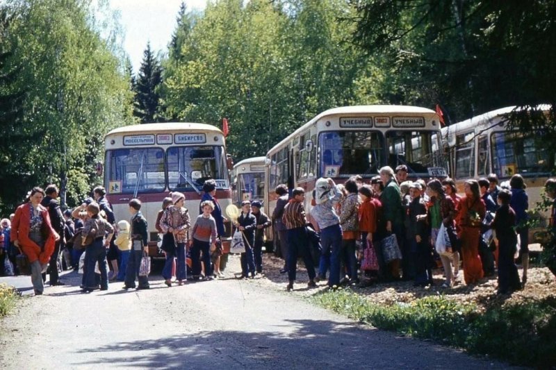 Советские автобусы, которые доставляли детей в пионерские лагеря