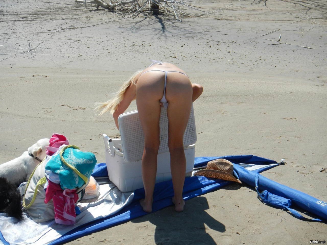 Солянка от zveturana за 03 февраля 2020 20:00 – Самые лучшие и интересные п...