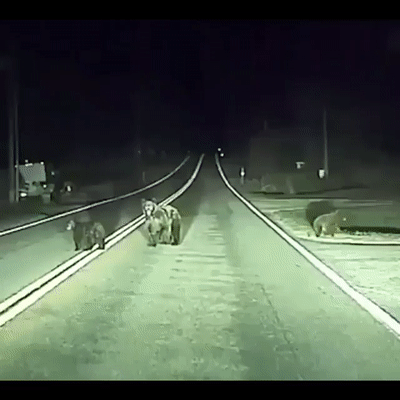 Мать всегда на чеку