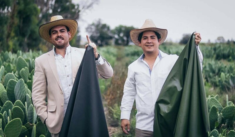 Два мексиканских парня Адриан Лопес Веларде и Марта Касарес, разработали органический материал Desserto из какутсов
