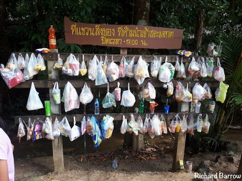 В Таиланде с 2018 года запрещены пластиковые пакеты и даже проносить их в Науиональные парки тоже нельзя. Поэтому сделаны такие стенды, где ты можешь оставить свои вещички, если они в пакете
