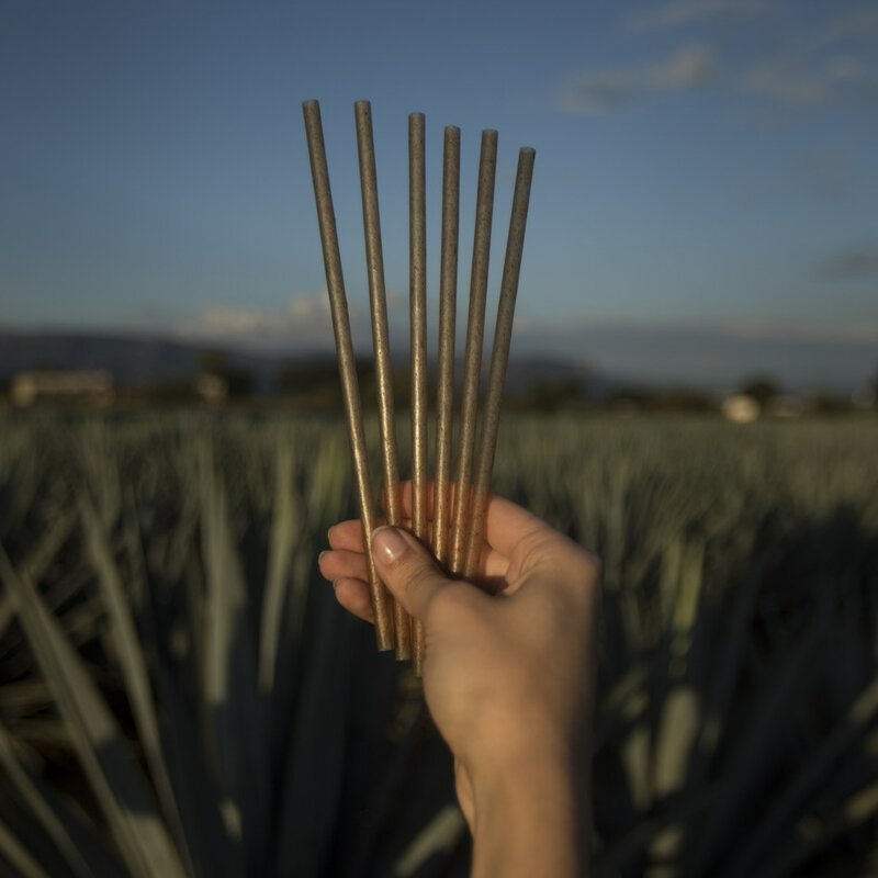 Мексиканская компания Jose Cuervo запустила в производство биоразлагаемых трубочек для напитков на основе волокон агавы. Из агавы делают текилу, а отходы производства идут на трубочки, которые разлагаются за 2 года
