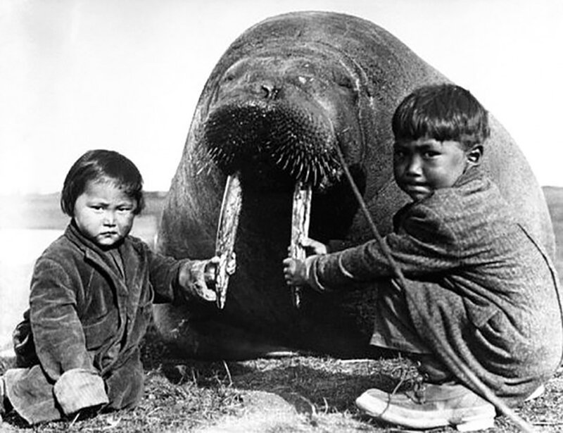 Эскимосы. Около 1920-х 