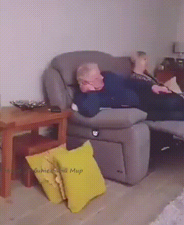 Семейное голосование