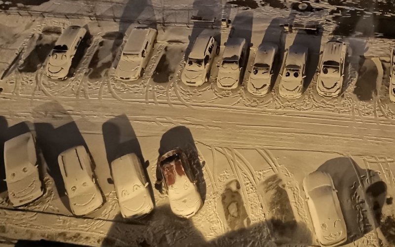 Парковка с мультяшными автомобилями: петербуржцы дождались первого снега