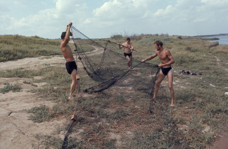 1967 год. Стройотряд в поселке Конезавод имени Будённого