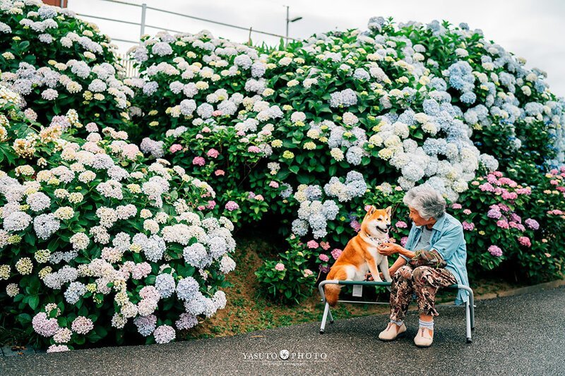 Фотограф снимает трогательные снимки своей бабушки и собаки
