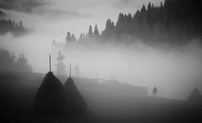 Свет, тени и силуэты: магия чёрно-белой уличной фотографии Гая Коэна