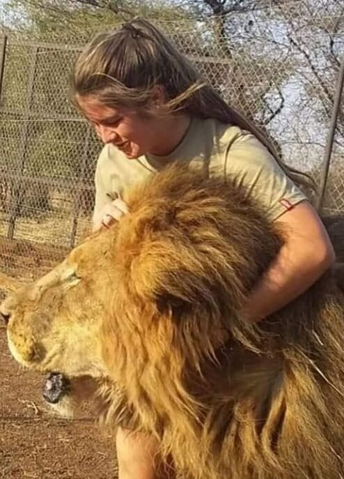В ЮАР львы растерзали 21-летнюю девушку