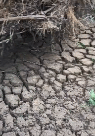 Здесь снова будет жизнь