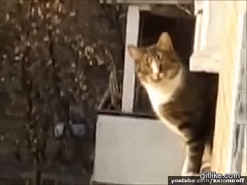 Гифки разные Гифки разные