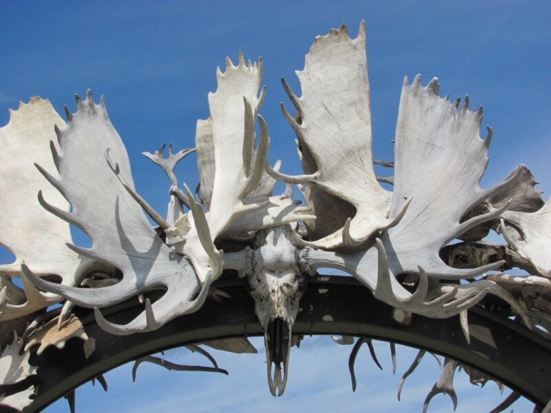Фэрбэнкс - полярные ворота Аляски