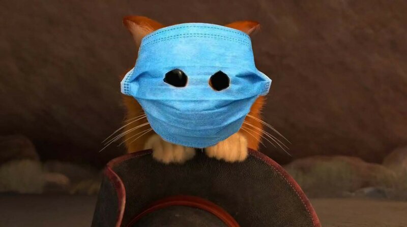 Коронавирусу посвящается: в Сети придумывают фотожабы с котом в маске, и получается феерично