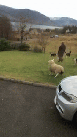 Гифки разные