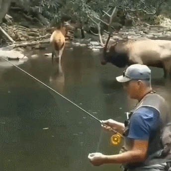 Один другому не мешает