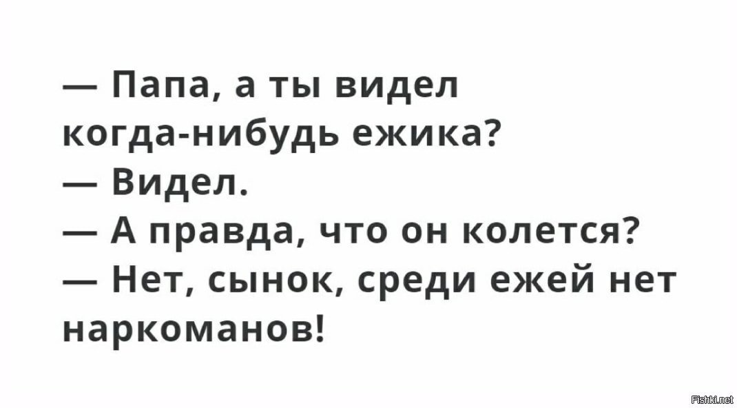 Ежики плакали кололись но продолжали есть кактус картинки