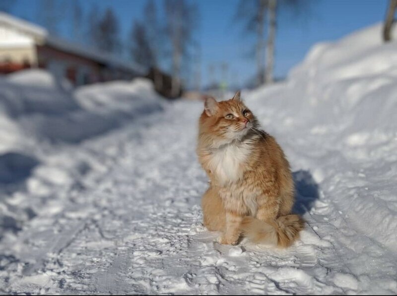 С добрым утром