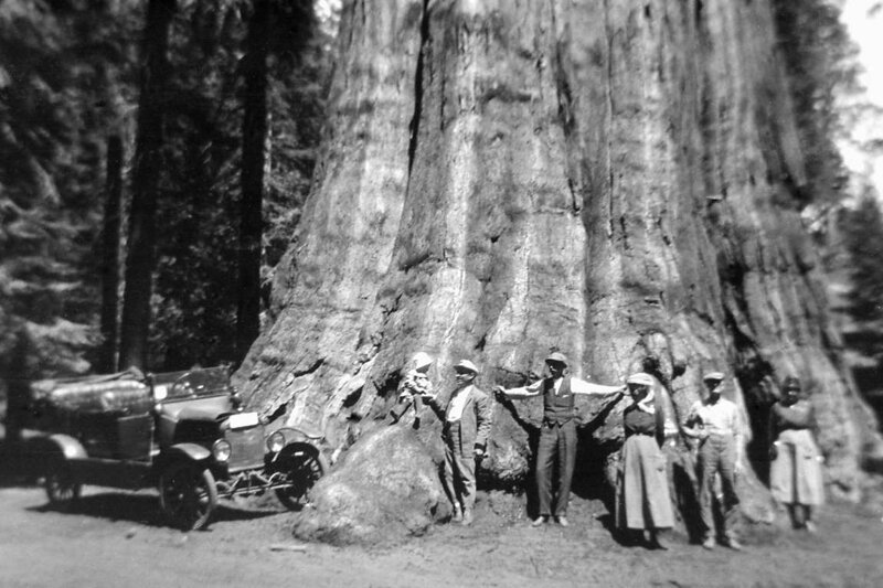 Семья на прогулке фотографируется возле дерева в Калифорнии, США. 1915 год