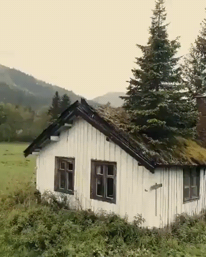 Настоящий дом лесника