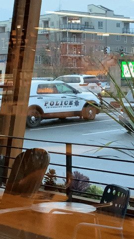 Полицейская машина выглядит так, будто на заднем сиденье пожар