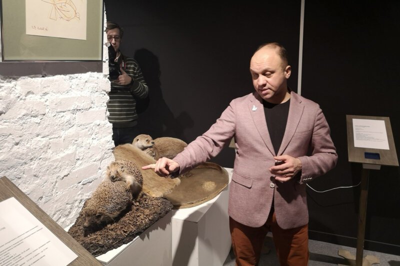Активист потребовал закрыть выставку со спаривающимися чучелами животных