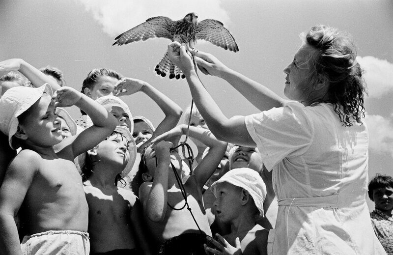 Советские люди как дети. Фотограф семён Осипович Фридлянд дети. Счастливые советские дети. Советские дети летом. Счастливое детство советских детей.