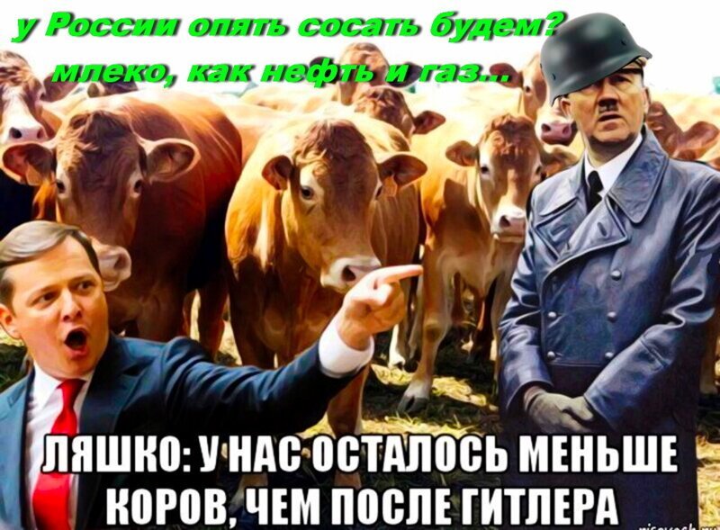 - Сколько на Укроине лиц с нетрадиционной сексуальной ориентацией? - А вы посмотрите на рейтинги Ляшко до пришествия Квартальных.  